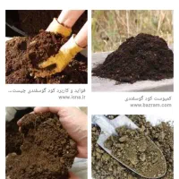 کود گوسفندی