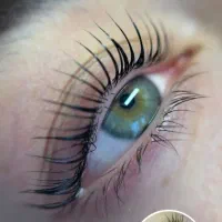 آموزش تخصصی مژه باتخفیف|خدمات آموزشی|شیراز, قدوسی غربی|دیوار