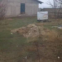 گاوداری ۱۵۰ راسی|فروش دفتر صنعتی، کشاورزی، تجاری|ثمرین, |دیوار