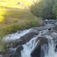 پیاده روی