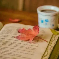 تدریس خصوصی زبان انگلیسی|خدمات آموزشی|تهران, عباسی|دیوار
