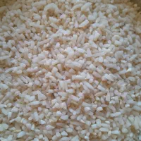 سلام نمیدانم هاشمی بشرط پخت|خوردنی و آشامیدنی|شفت, |دیوار