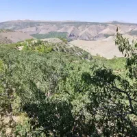 فروش باغ ویلای، کشاورزی|فروش زمین و ملک کلنگی|زاینده رود, |دیوار