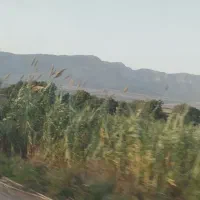 فروش زمین در استان گلستان روستای کرنگ کفتر