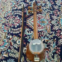 کمانچه پشت باز  شهباز