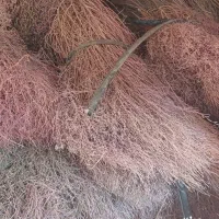 جارو|لوازم نظافت|اصفهان, پوریای ولی|دیوار