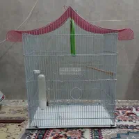 قفس پرنده