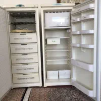 یخچال دو قلو