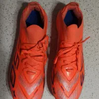 استوک f50|کیف، کفش، کمربند|رشت, پاستوریزه|دیوار