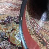 رفوگر (تعمیر جزئی) فرشهای ماشینی