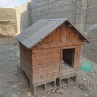 خونه سگ|لوازم جانبی حیوانات|گله دار, |دیوار