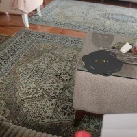 دوتخته فرش 6متری محتشم کاشان