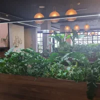 استخدام خانم در کافه رستوران هایلند