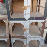 قفس مرغ وکبوتر