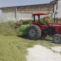 فروش یونجه دامپر شده درجه یک جهرم