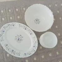 ظروف آرکوپال|ظروف سرو و پذیرایی|قائن, |دیوار