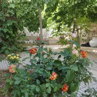 اجاره سوئیت ویلایی سیسخت|اجارهٔ کوتاه‌مدت ویلا و باغ|سی‌سخت, |دیوار