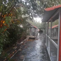 استخدام سرایدار و نگهبان