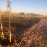 زمین-باغی-با-آب-مجوز-دار-میاندربند18کیلومتری
