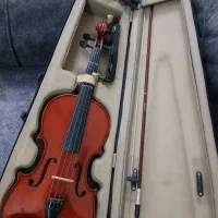 فروش ویلن