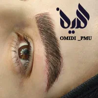 خدمات تخصصی میکروپیگمنتیشن و فیبروز ابرو|خدمات آرایشگری و زیبایی|بروجن, |دیوار
