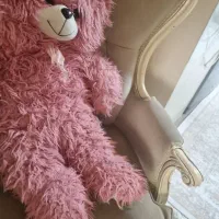 خرس بزرگ|اسباب‌بازی بچه|گنبد کاووس, |دیوار