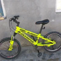 دوچرخه بیست دندی