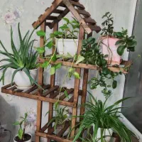 استندگل وگل|گل و گیاه طبیعی|اردبیل, |دیوار