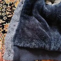 ژاکت پسرانه|کفش و لباس بچه|رشت, گلباغ نماز|دیوار