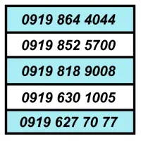 0919.308.9005|سیم‌کارت|کرج, شاهین‌ویلا|دیوار