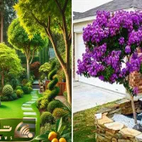 خدمات تخصصی باغبانی باغچه کاری تعویض خاک گلدون|خدمات باغبانی و درختکاری|تهران, تهرانپارس غربی|دیوار
