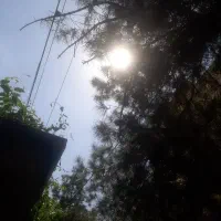 سرویس و نگهداری کولر