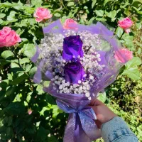 جزیره گردی خواص