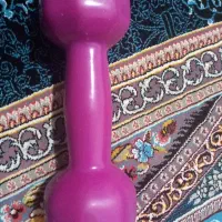 دمبل|تجهیزات ورزشی|آبیک, |دیوار