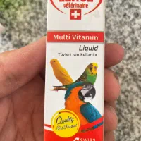 کوتوله برزیلی|پرنده|زاهدان, |دیوار