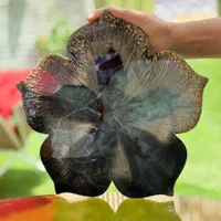 آموزش رزین با مدرک فنی حرفه ای و تخفیف|خدمات آموزشی|اصفهان, وحید|دیوار