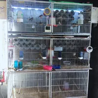 قفس سه طبقه