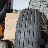 لاستیک زیر صفری فونیکس ۱۴۰۳
