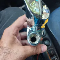 شیر دوقلو
