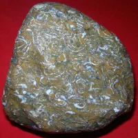 سنگ کلکسیونی|کلکسیون اشیاء عتیقه|علیآباد کتول, |دیوار