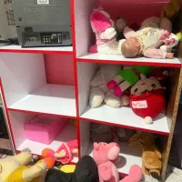 طبقه|کتابخانه، شلف، قفسه‌های دیواری|گرگان, |دیوار