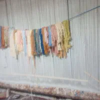 قالی بافت|فرش|ارومیه, |دیوار