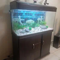 آکواریوم شیشه‌خم‌ ماهیران سری‌خارجی باهمه لوازم|ماهی|کرج, گلشهر|دیوار