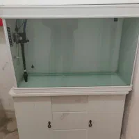 آکواریوم یک متری شرکتی