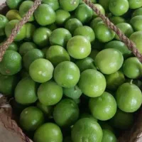 عسل و آبلیموترکیب طلایی برای روزهای پرانرژی|خوردنی و آشامیدنی|تهران, بلوار کشاورز|دیوار
