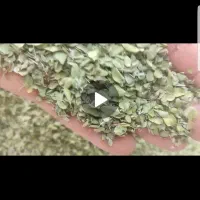 آویشن،بابونه و...