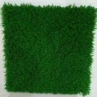 گرین وال،پنل شمشادی