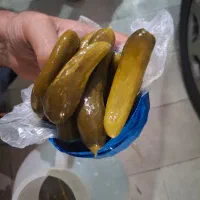 خیار شور ممتاز ، نول ، ویژه یکدست و سوپر ویژه|خوردنی و آشامیدنی|تهران, پردیسان|دیوار