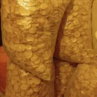 کرفس کوهی کلوس کوهی موسیرخشک|خوردنی و آشامیدنی|کوهرنگ, |دیوار