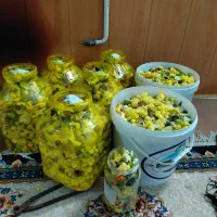 ترشی مخلوط خونگی|خوردنی و آشامیدنی|فولادشهر, B7|دیوار